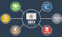 深圳网站SEO 优化  推广